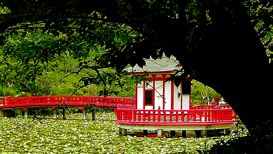 千葉県・茂原市・茂原公園